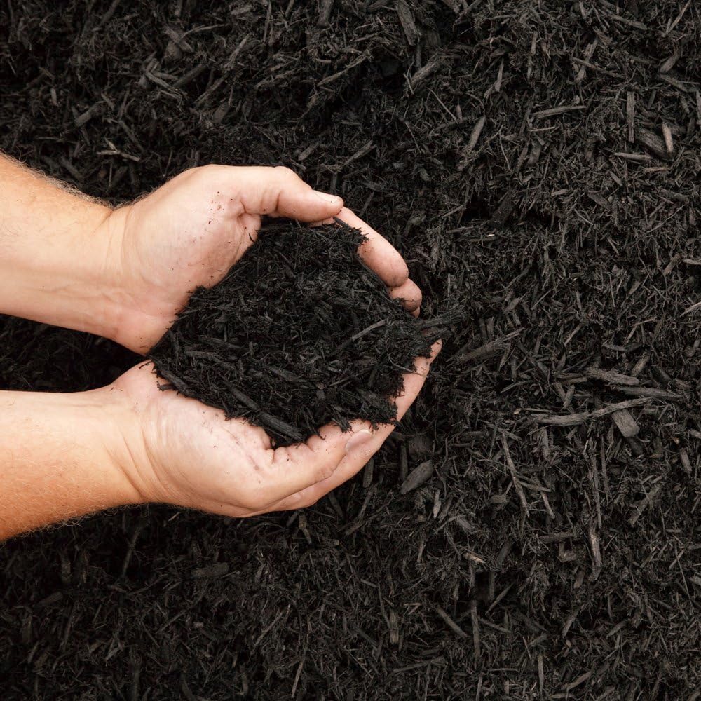 Dandy del mpocjbb orgánico Multiusos Compost – Negro: Amazon.es ...