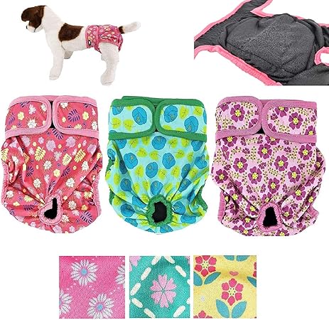 female dog panties