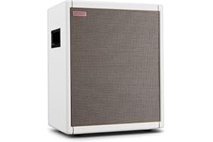 Positive Grid Spark CAB Powered Guitar Amp Speaker Cabinet for Spark Series Amps, Multiple Instruments, Modelers, and More – Pearl