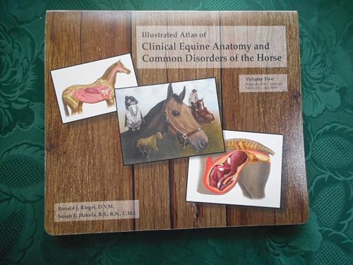 Download Illustrated Atlas of Clinical Equine Anatomy and Common Disorders of the Horse: Vol 2: Illustrated Atlas. Volume Two Reproduction, Internal Medicine and Skin PDF
