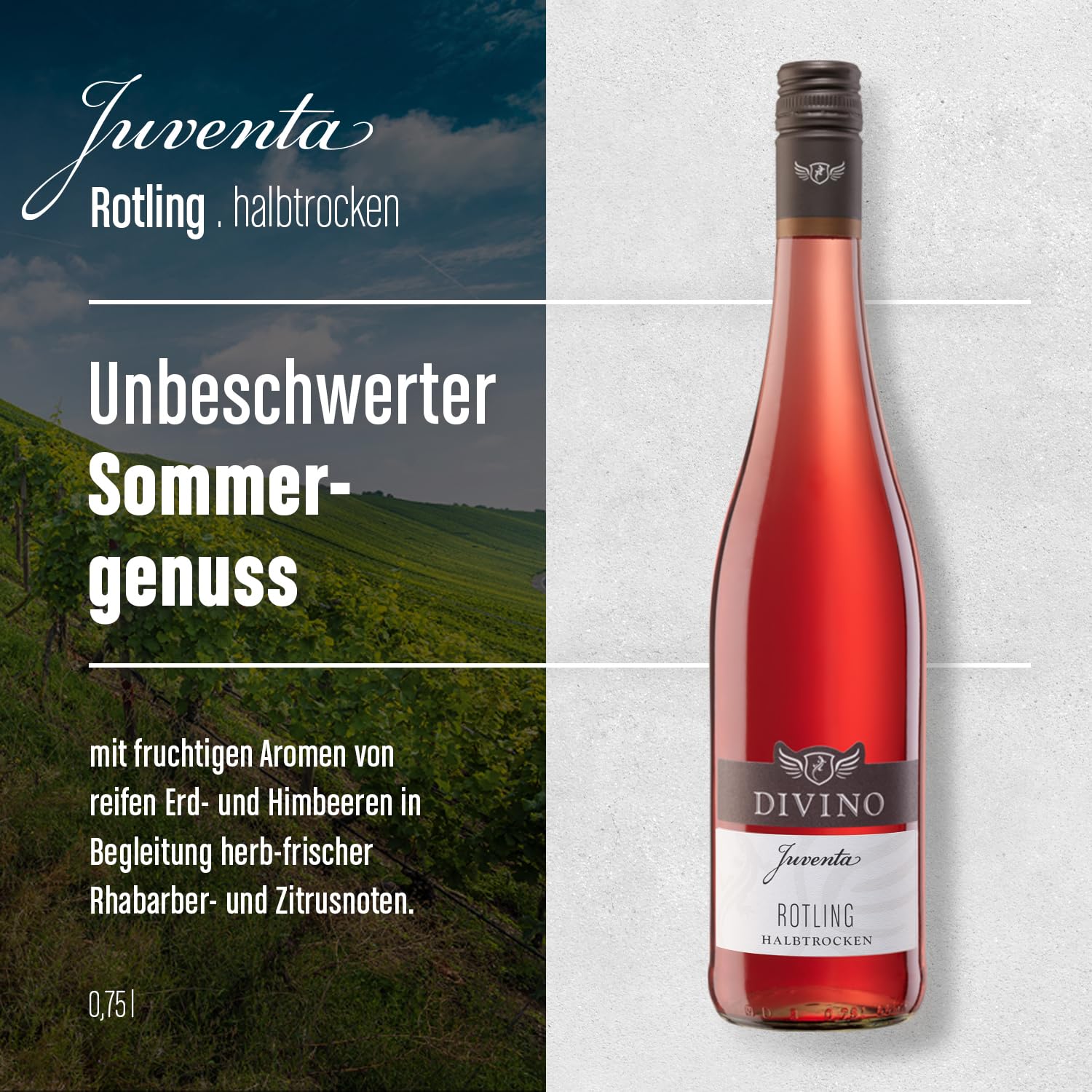 DIVINO Juventa Frankenwein Probierpaket - Silvaner, Grauer Burgunder, Scheurebe, Rotling, Merlot, Cuvée - Qualitätsweine direkt aus den Weinbergen Frankens (6 x 0,75l) 5