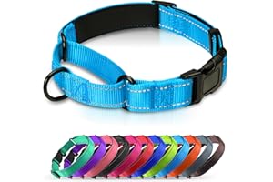 Erbine Neoprene Padded Martingale Collar for Dogs, Reflective Soft Nylon with Quick Release Buckle, Adjustable Dog Martingale Collars for Training & Daily Use (Aqua Blue,XS)