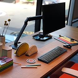 Ergotron – MXV Single Monitor Arm, VESA Desk
