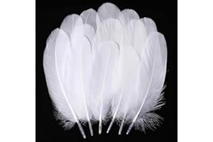 Holmgren White Craft Goose Feathers - 200pcs 5-7inch White Feathers for DIY Crafts Dream Catchers, Angel Wings and Wedding Party Christmas Home Decoration (White)