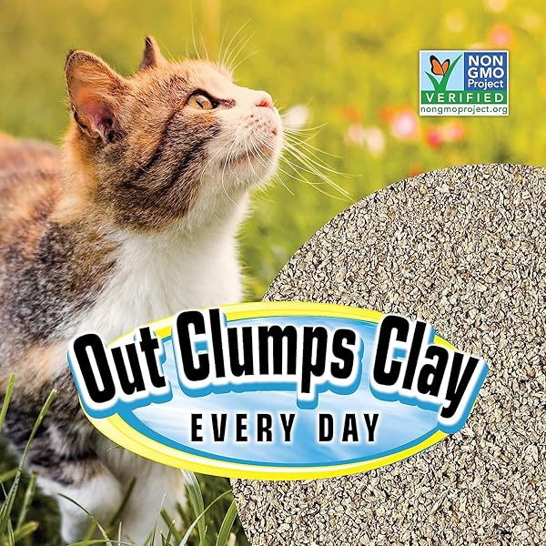 SMARTCAT ALL NATURAL CLUMPING CAT LITTER, 10 POUND (160OZ 1 PACK) – ALTERNATIVE TO CLAY AND PELLET LITTER – CHEMICAL AND 99% DUST FREE – UNSCENTED AND LIGHTWEIGHT