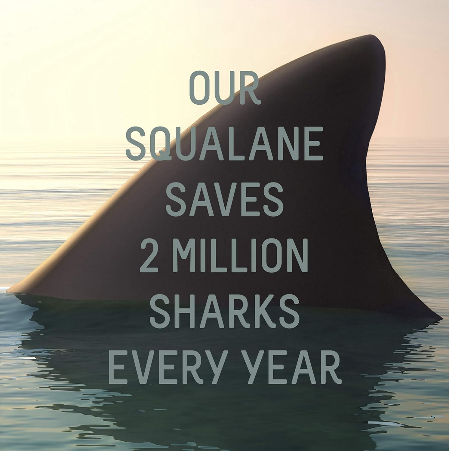 Biossance Squalane + Peptide Eye Gel - Ultra-Hydrating Eye Gel for Puffiness + Dark Circles - No Parabens + Fragrance-Free (15ml): Beauty