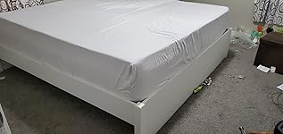 Review Image by Saul Cardenas Saul Cardenas