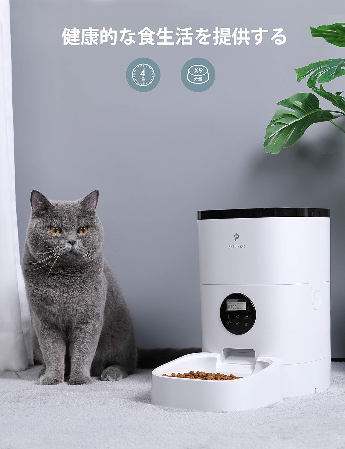 自動 餌 やり 機 猫 おすすめ