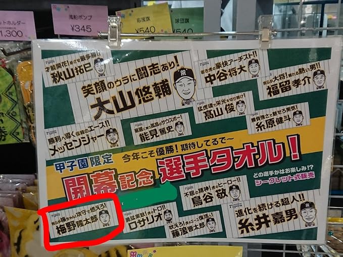 阪神 タイガース 掲示板 阪神タイガースドラフト掲示板 テーマ別ドラフト掲示板