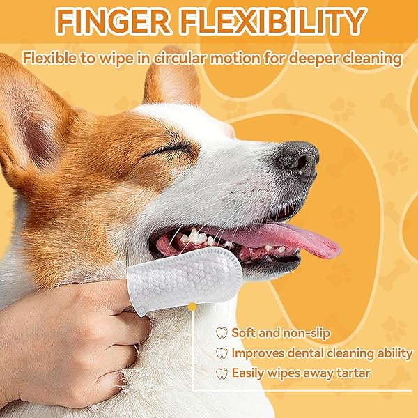 ERIGATHE DOG TEETH CLEANING WIPES FOR DOGS & CATS 60 COUNTS, DOG DENTAL FINGER WIPES REMOVE BAD BREATH, DOG TOOTH BRUSHING KIT WIPES REDUCING TARTAR BUILDUP & GUM CARE PET DOG TEETH WIPES