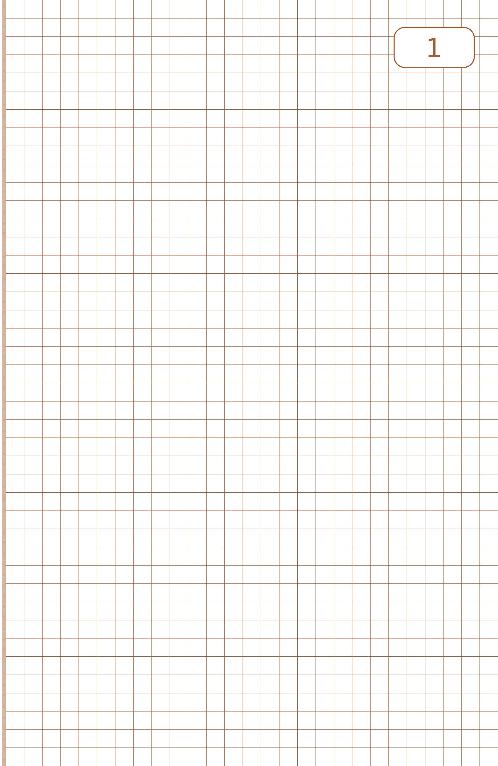 le dauphin - Ref. 1113D - Set of 5 manifolds - carbonless paper - 5x5 grid - small squares - triplicate - 50 sheets - format 21 x 14.8 cm - varnished cover