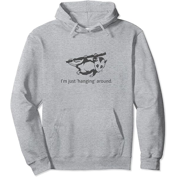 Amazon.com: I'm a Cat Person Funny Cat Lover Pullover Hoodie