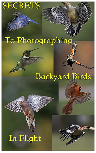 Download Secrets to Photographing Backyard Birds in Flight (English Edition) PDF
