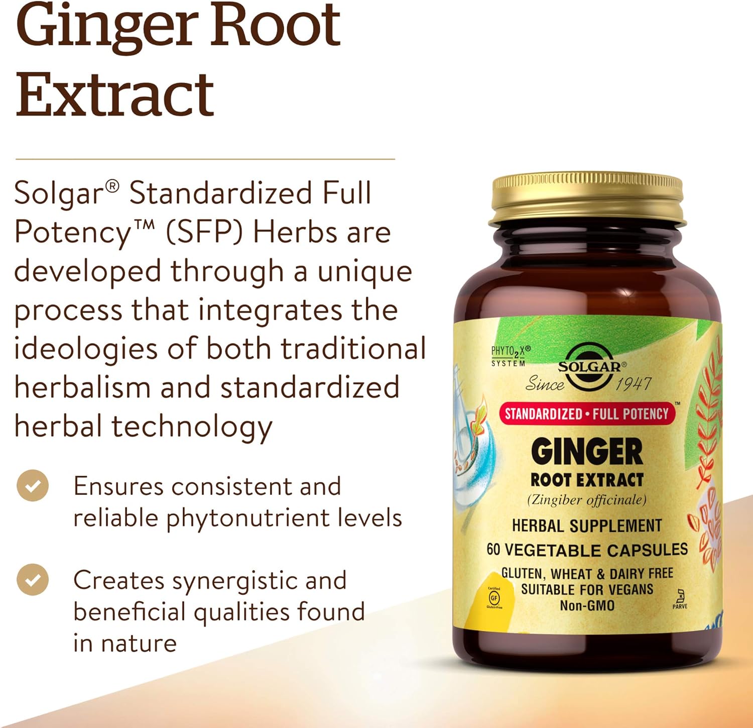 Solgar - Standardized Full Potency Ginger Root Extract, 60 Vegetable Capsules: Health & Personal Care