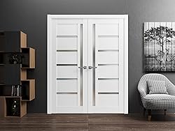 SARTODOORS French Double Panel Lite 56 x 80 with