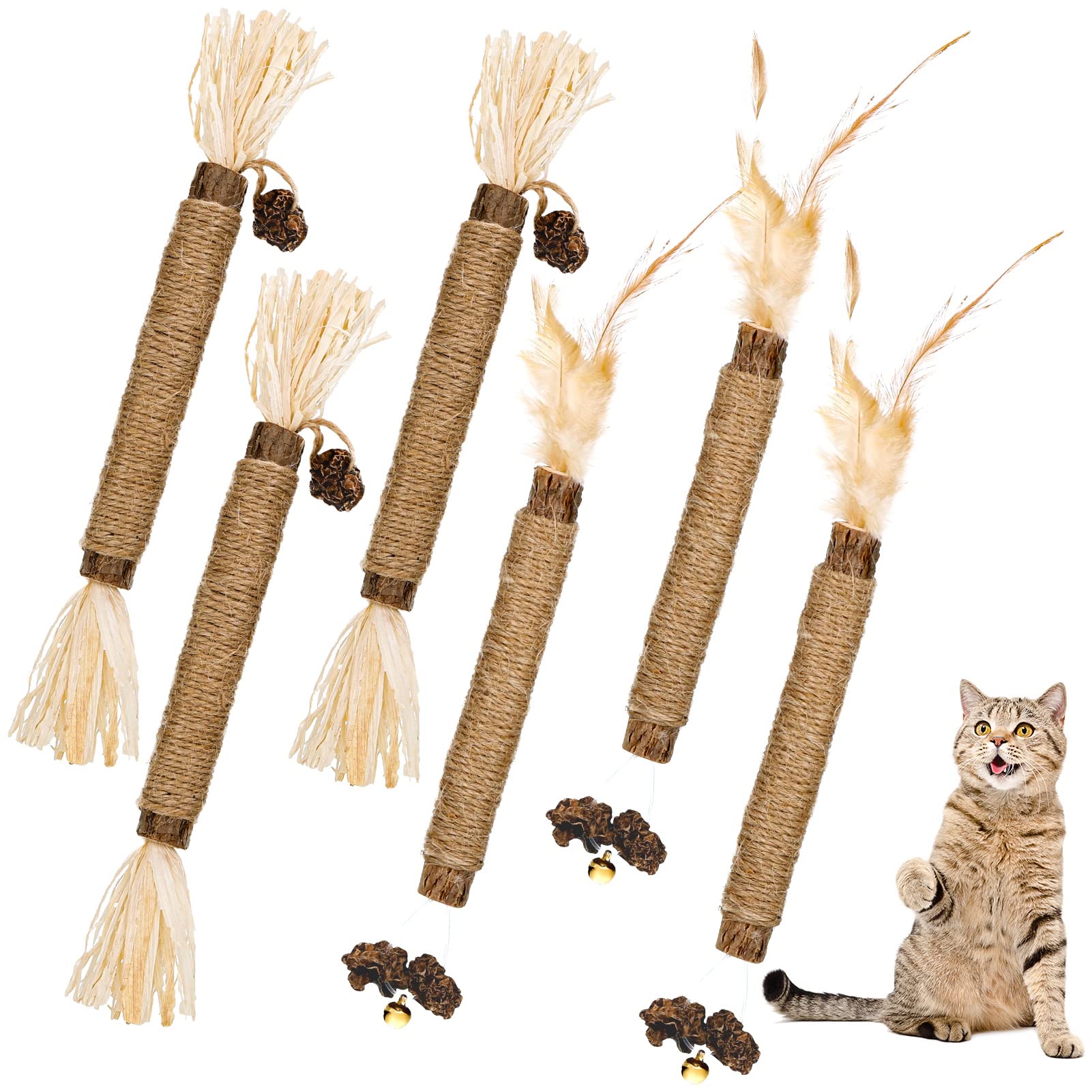 Dacitiery Silvervine Cat Chew Sticks, 6 Pack Natural Cat Teeth Cleaning Catnip Toys for Indoor Kitten Teething and Stress Release