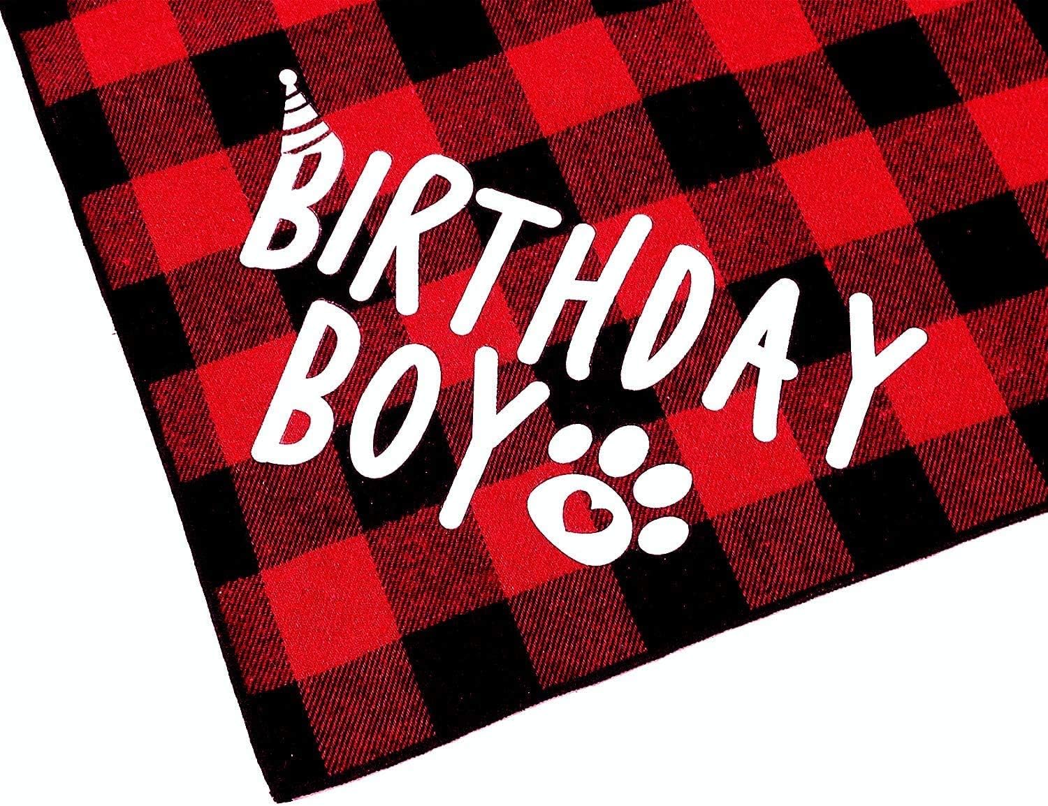 JPB Dog Birthday Hat and Dog Birthday Bandana Boy Set : Pet Supplies