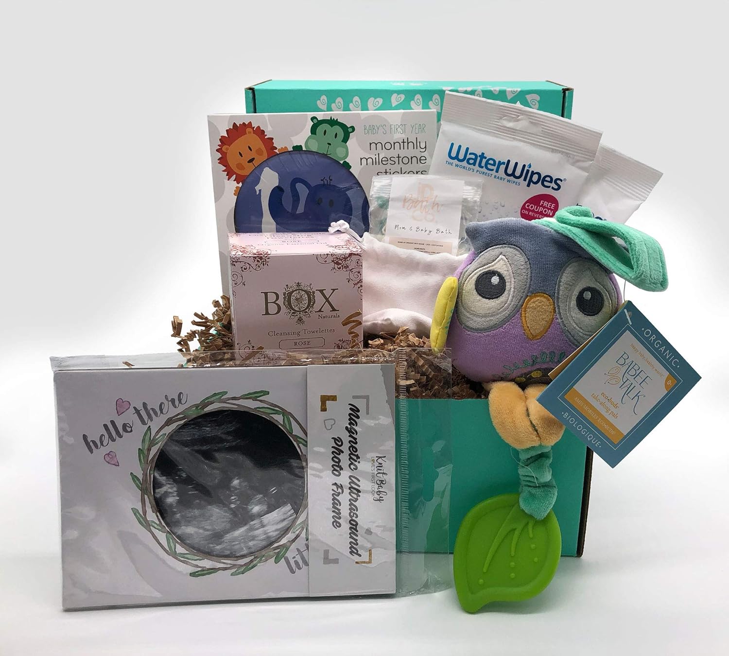 Ecocentric Mom Newborn & Mama Baby Shower Gift Box