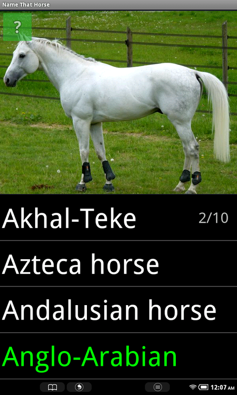 Name That Horse Breed - Thumbnail 4