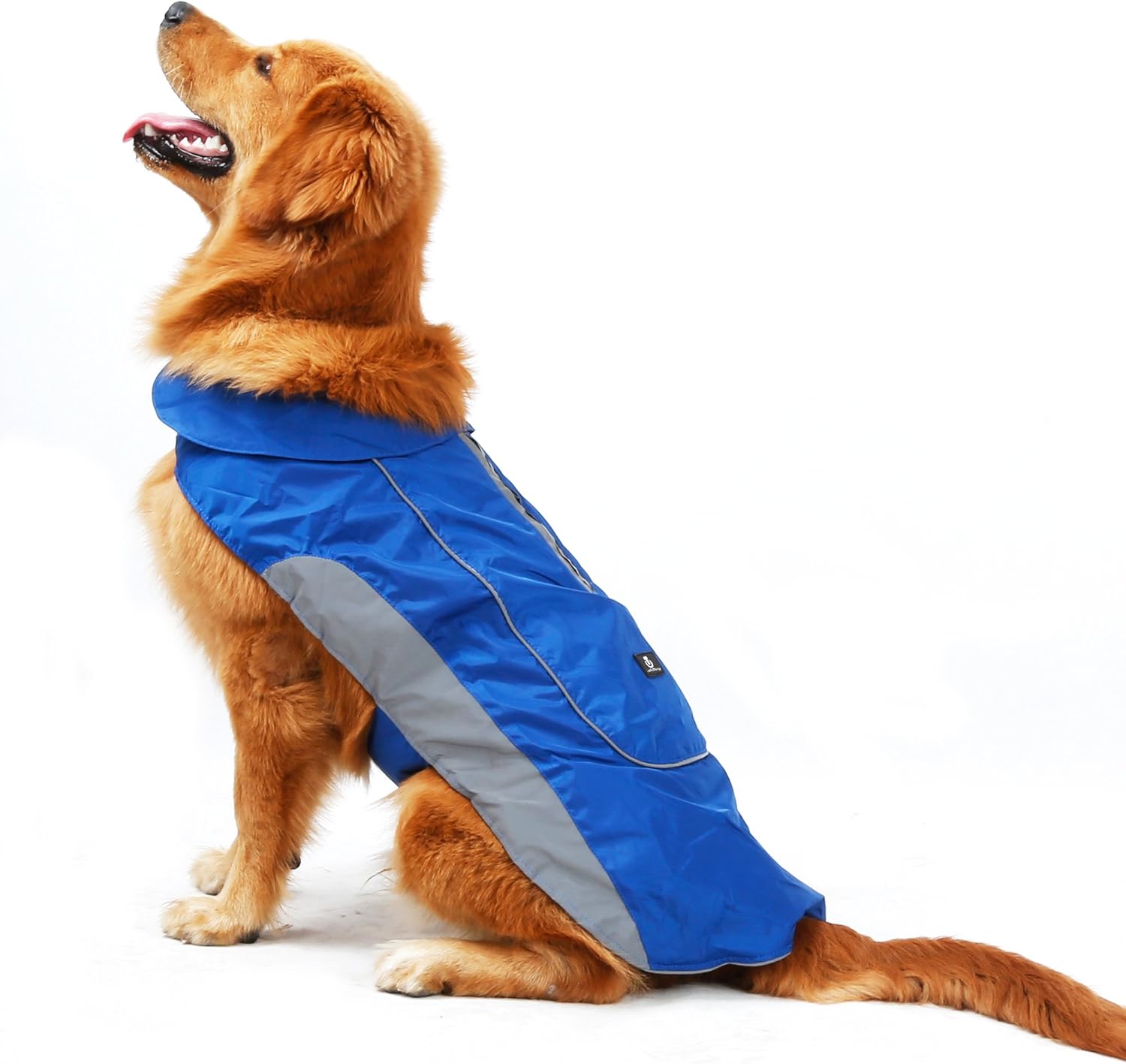 dog rain coats amazon