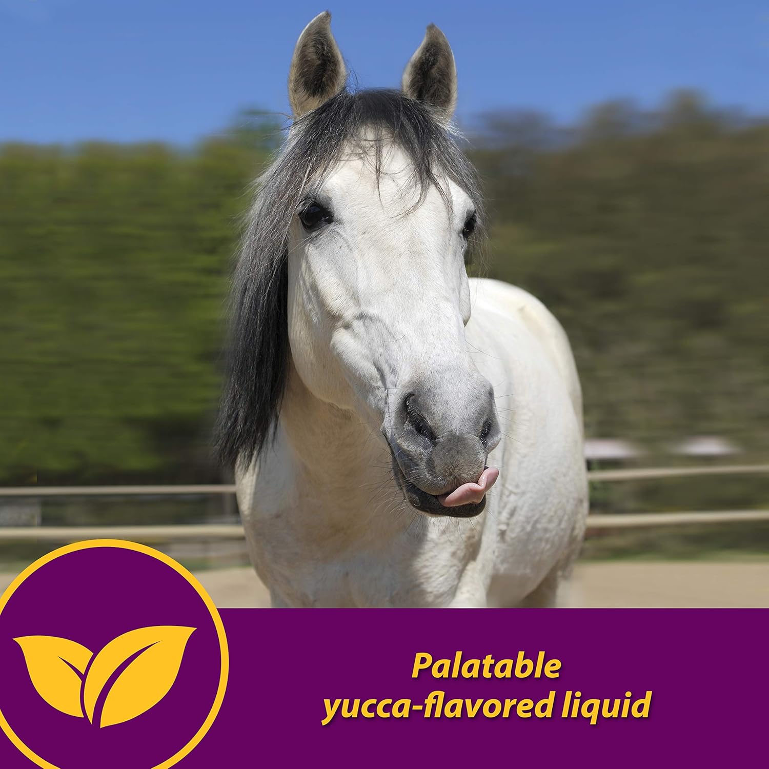 Horse Health Red Cell Iron-Rich Vitamin-Mineral Supplement, Industry Standard Vitamin-Mineral Liquid for Fueling Horses of All Ages, 1 gallon : Herbal Supplements : Pet Supplies