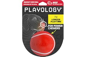 Playology Squeaky Chew Ball for Dogs | Engaging All-Natural Beef Scented Toy for Medium Dogs up to 50lbs | Squeak, Fetch, and