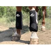 TGW RIDING Equine Sports Medicine Ventech Elite Front Leg Boot Horse Leg Wraps Horse Boots, Pair