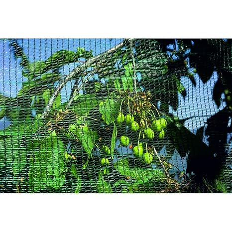 Hagelschutznetz 2x10m