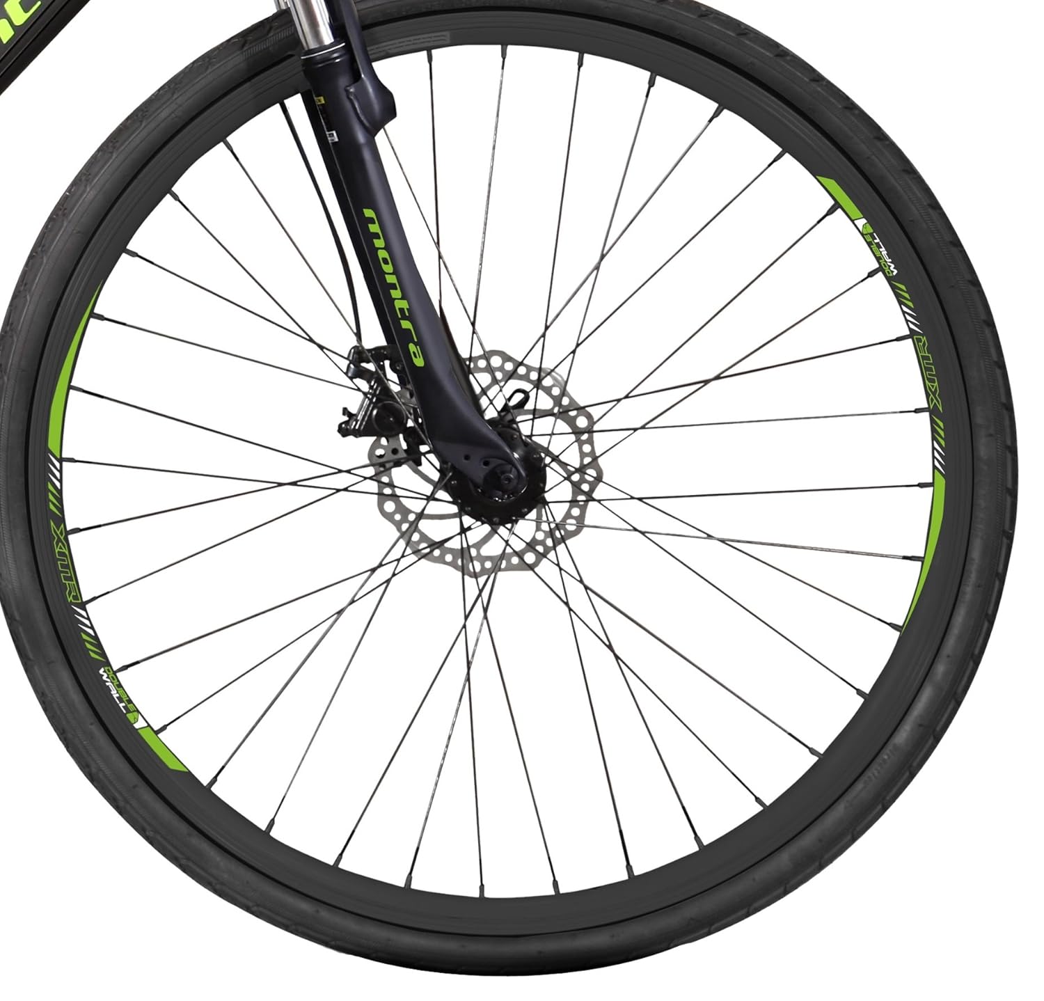 montra trance d 2019