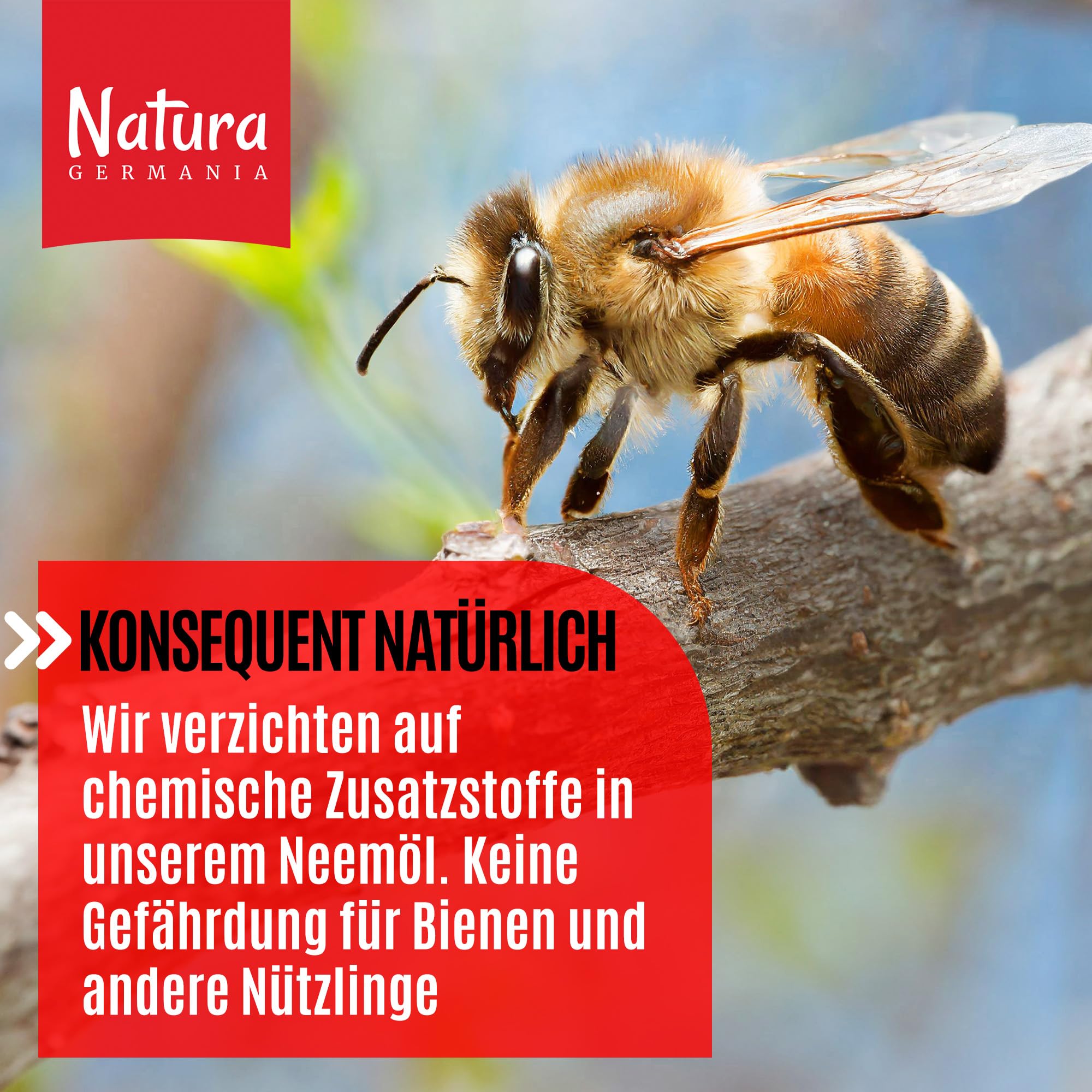 Natura Germania® Neemöl 500ml mit Waschnußextrakt mit Sprühflasche und Messbecher - Ergibt 50 Liter sprühfertige Lösung - Neem Spray zur natürlichen Pflanzenpflege für Zimmerpflanzen/Gartenpflanzen 4