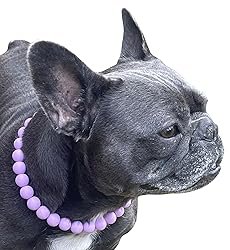 Dog Necklace