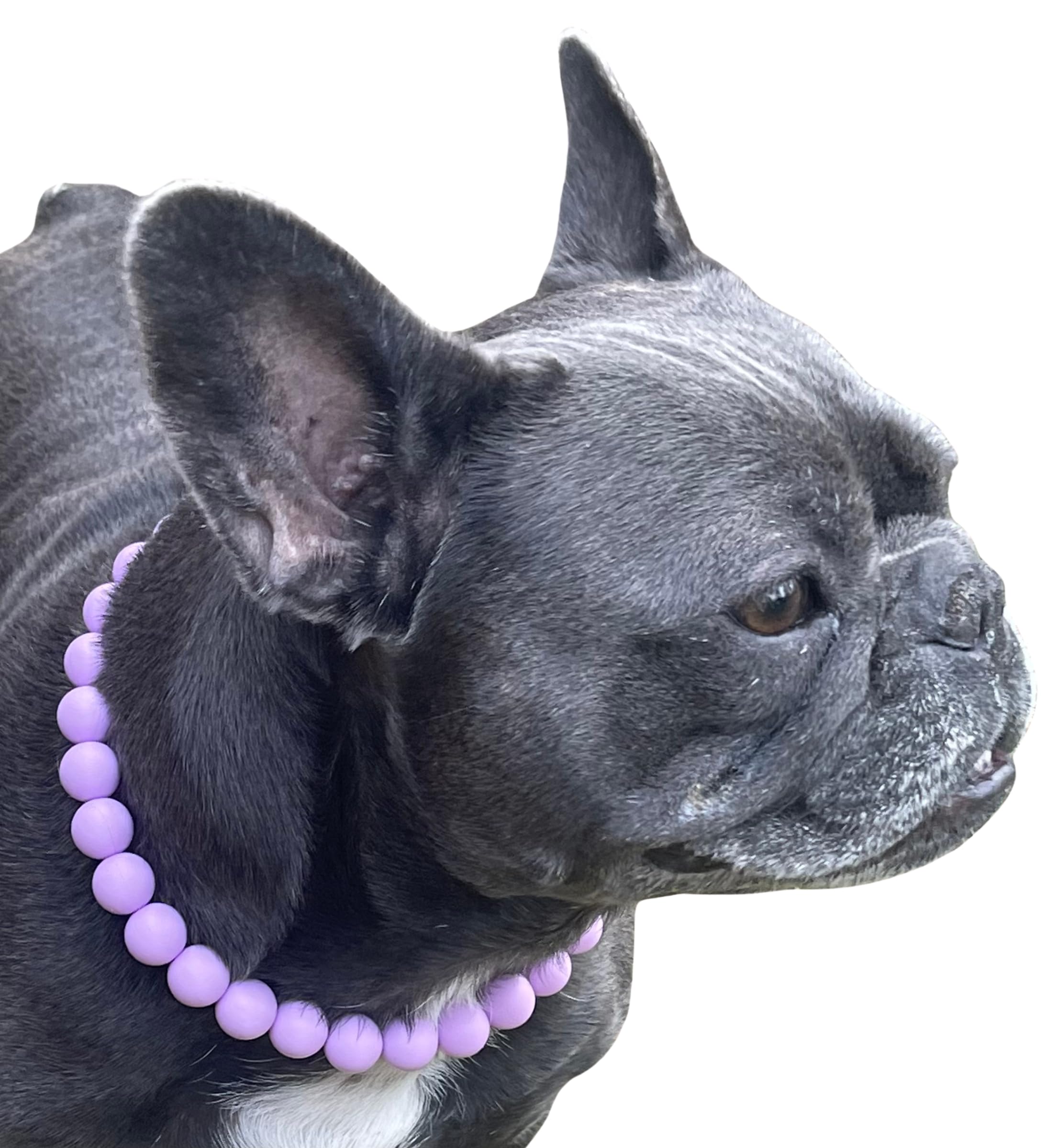 Dog Necklace