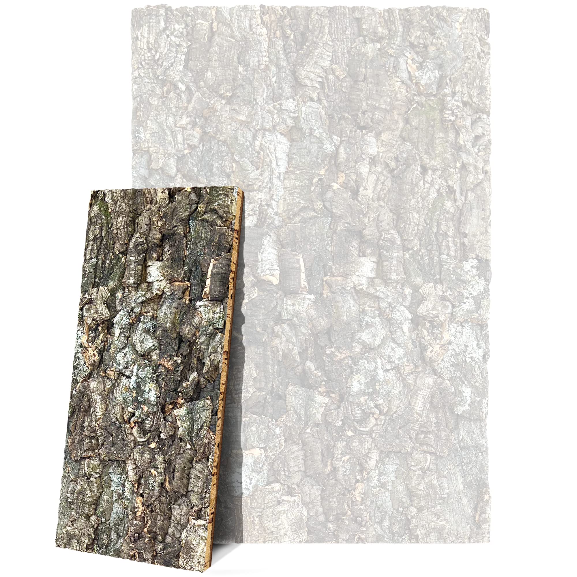 Kork-Deko Cork Back Wall (Background, Panel), Extra Large Wall (3D Cork Backwall) 60 x 30 cm