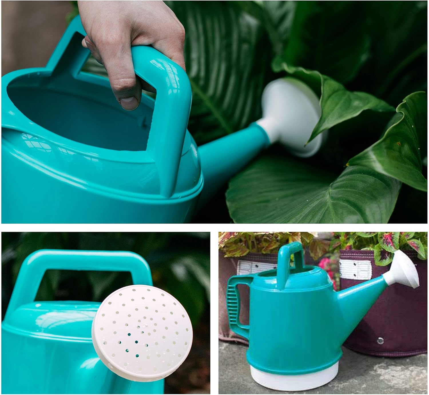 Bloem DWC2-26 Watering Can Deluxe 2.5 Gallon, Bermuda Teal Green : Garden & Outdoor