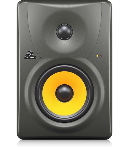 Amazon.com: Behringer TRUTH B2030A High-Resolution, Active 2-Way
