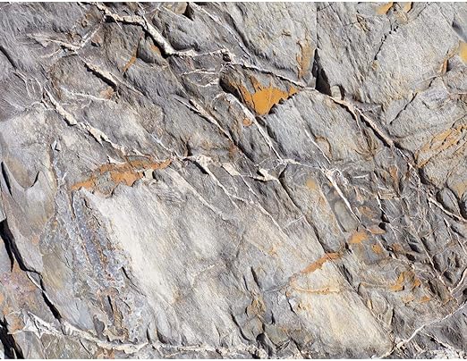 Fototapete Steinwand 3d Effekt Grau Vlies Wand Tapete Wohnzimmer Schlafzimmer Buro Flur Dekoration Wandbilder Xxl Moderne Wanddeko 100 Made In Germany Runa Tapeten 9142010a Amazon De Baumarkt