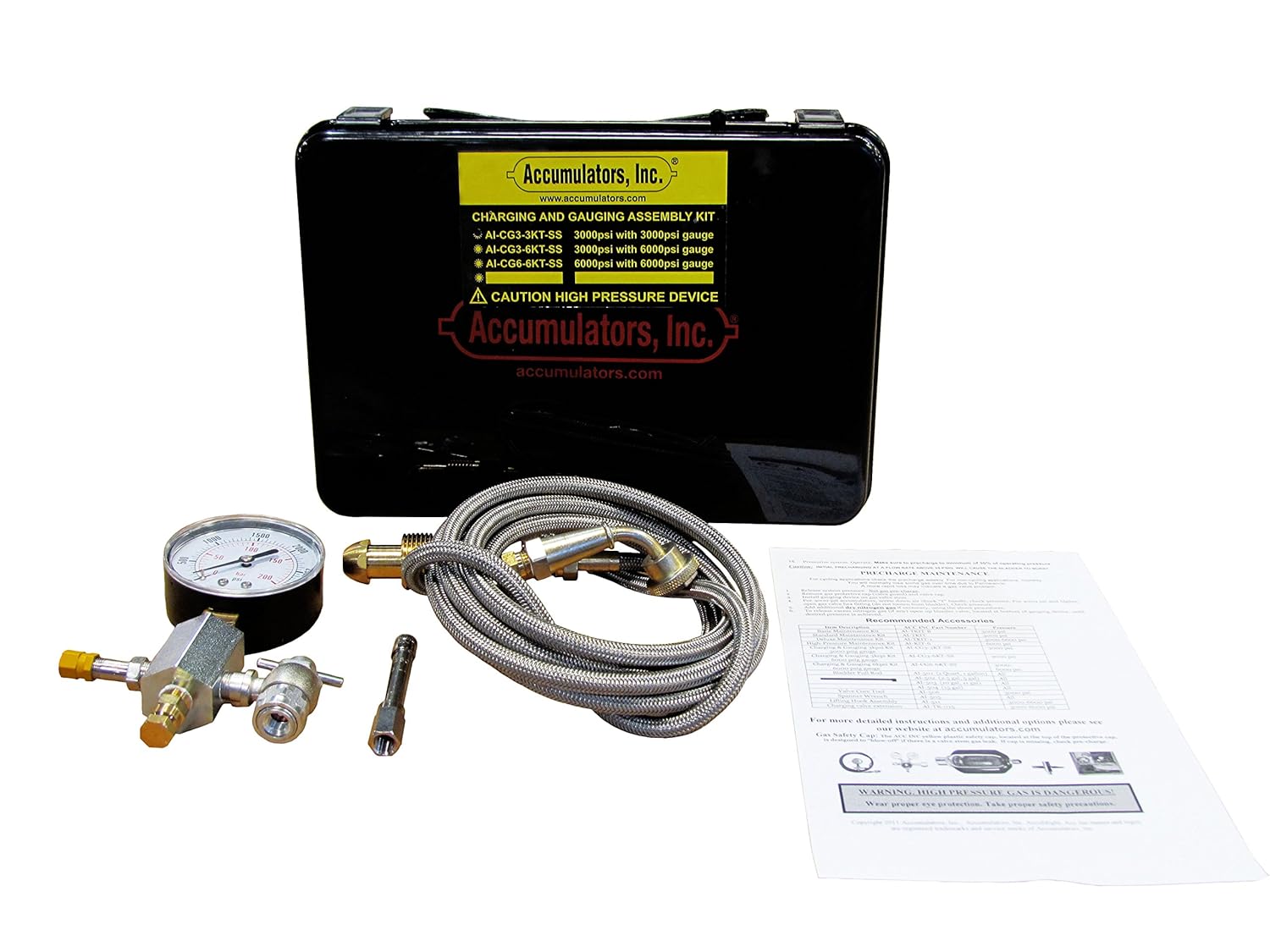 Accumulators AICG33KTSS Charging Kit, 3000 psi Amazon.ca Tools