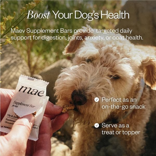 MAEV HUMAN-GRADE WEIGHT & DIGESTION SUPPLEMENT BARS | NATURAL SUPPORT FOR HEALTHY WEIGHT MANAGEMENT & DIGESTIVE SUPPORT, 30 COUNT