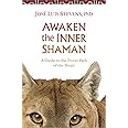 Awaken the Inner Shaman: A Guide to the Power Path of the Heart