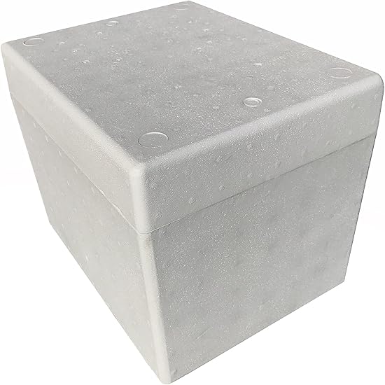 Porexpan 30-0301 Caja Makro: Amazon.es: Bricolaje y herramientas