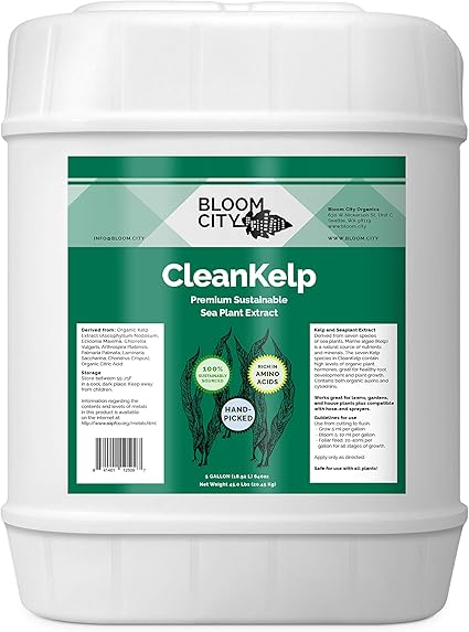 Amazon Com Organic Liquid Seaweed And Kelp Fertilizer Supplement By Bloom City 5 Gallon 640 Oz Concentrated Makes 3750 Gallons Garden Outdoor