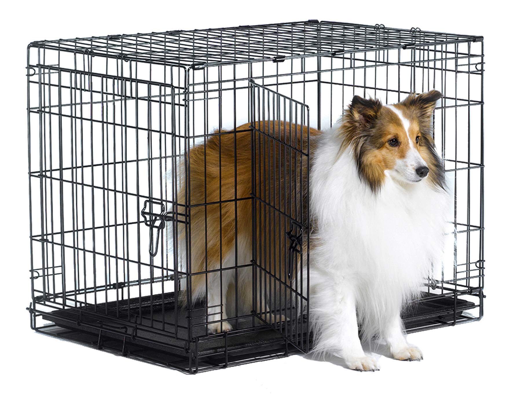 New World Folding Metal Dog Crate; Single Door & Double Door Dog Crates