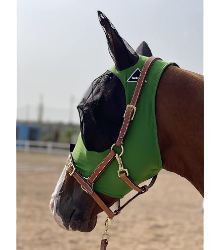 Cashel Crusader Masque anti-mouches pour mules standard avec oreilles : Cashel Company