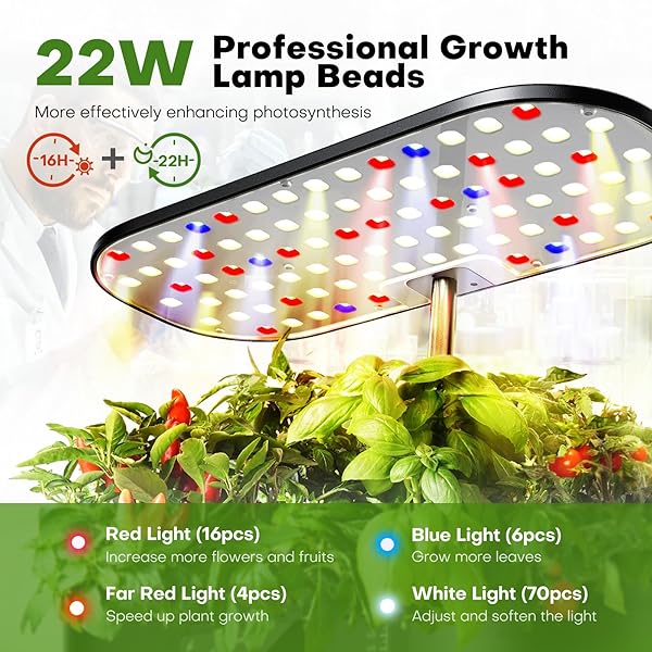 AHOPEGARDEN HYDROPONICS GROWING SYSTEM KIT INDOOR HERB GARDEN WITH GROW LIGHT 12 PODS, WITH LCD TOUCH PANEL HYDROPONIC PLANTER, PLANTING HEIGHT UP TO 17″, GROWER HARVEST FRESH VEGGIE LETTUCE, BLACK