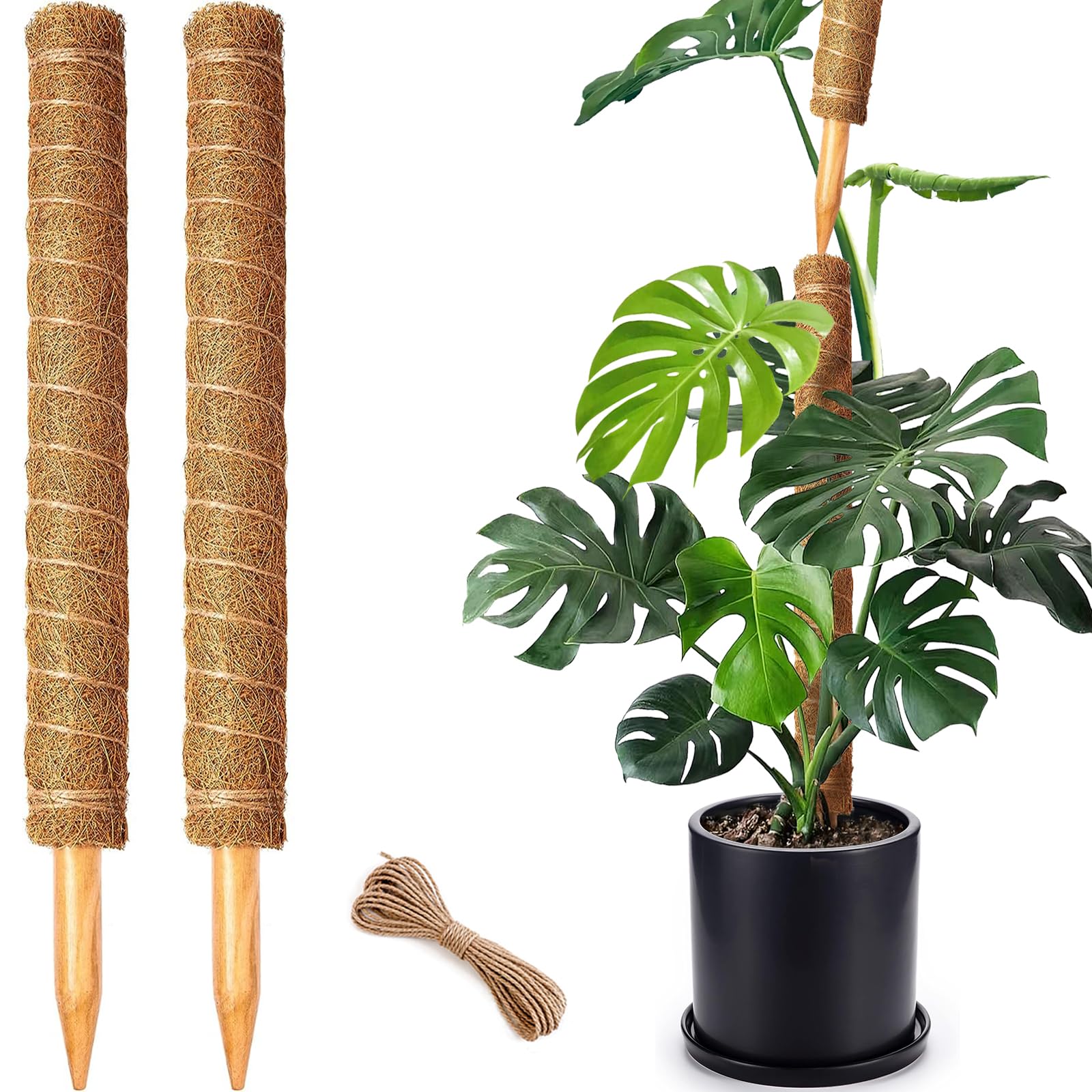 Photo 1 of 2 Pack 21 Inch Moss Poles, Stackable Moss Pole for Plants Monstera, 37 Inch Tall Moss Poles for Climbing Plants Indoor, Coir Totem Plant Support Stakes Stand for Potted Plants, Pothos
