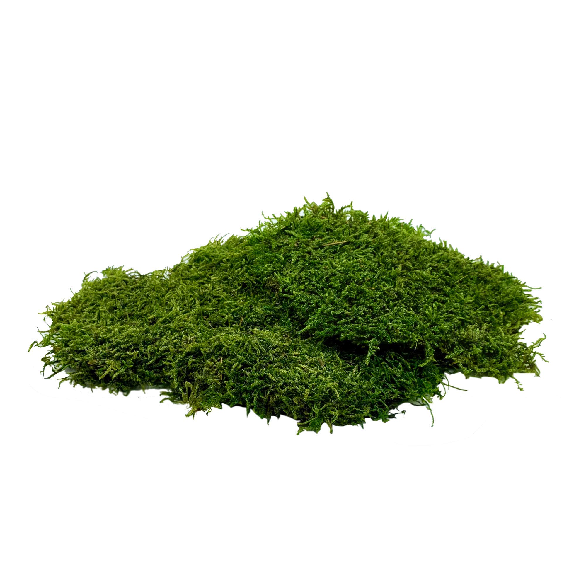 Finland Moss Olive Green 500g bag Smithers Oasis