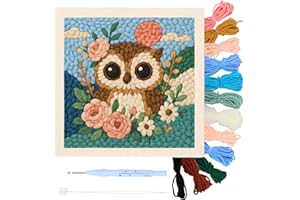 Punch Needle Kit Square Frame, 9.8 Inch Punch Needle Embroidery Kit with Frame, Embroidery Starter Kits with Pattern Threads 