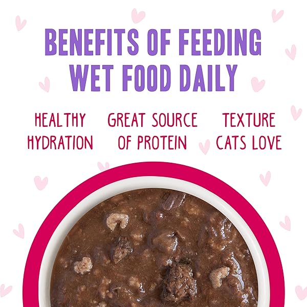 B.F.F. OMG – BEST FELINE FRIEND OH MY GRAVY!, TUNA & DUCK DILLY DALLY WITH TUNA & DUCK, 5.5OZ CAN (PACK OF 8)