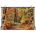 LYWYGG 10x8ft Autumn Backdrop Fall Scenery Background Vinyl Yellow Fall Leaves View Photography Backdrop Photo Studio Props CP-67-1008
