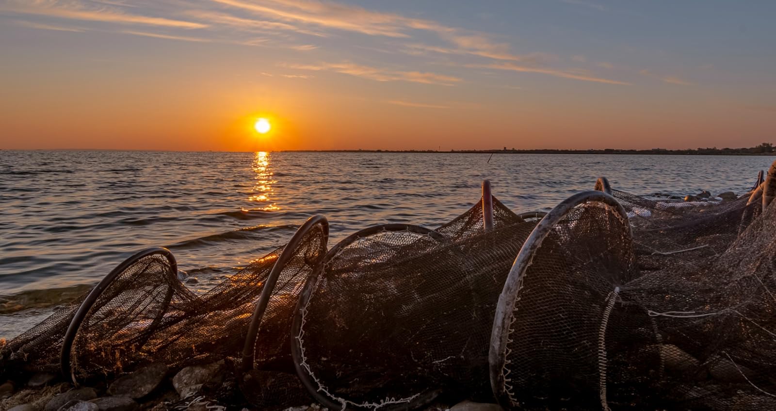 Just awesome. The quality is there at all levels.